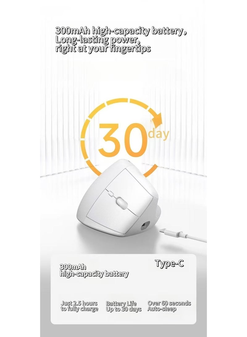 Dooxi selection  - Ergonomic mouse WED1 - Image 2