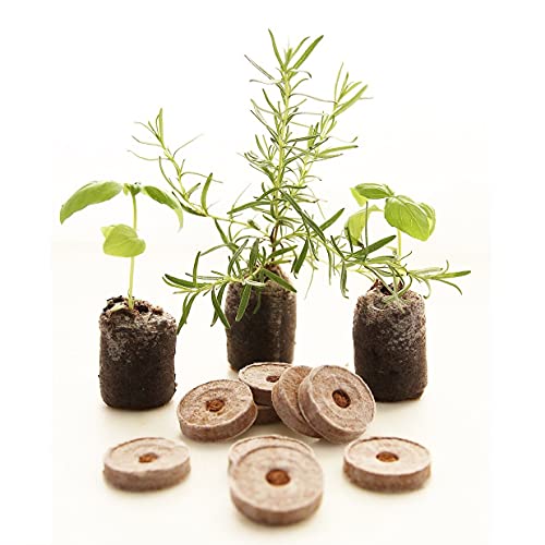 COIR GARDEN Coir Fiber Seed Germination Kit, Natural Brown, 30 Piece. - Image 1
