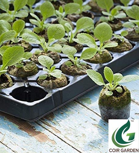 COIR GARDEN Coir Fiber Seed Germination Kit, Natural Brown, 30 Piece. - Image 3