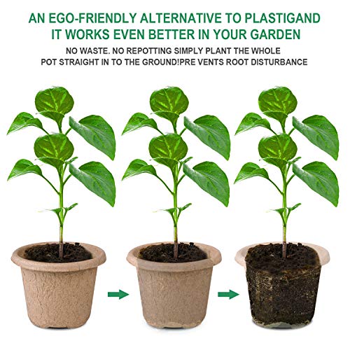 ANGTUO 30 Pcs Peat Pots for Seedlings, 4.33 inch Biodegradable Seed Nursery Pot with Drainage Holes, Seedling Pots Include 20 Labels - Image 2