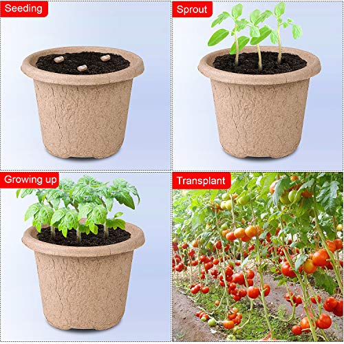 ANGTUO 30 Pcs Peat Pots for Seedlings, 4.33 inch Biodegradable Seed Nursery Pot with Drainage Holes, Seedling Pots Include 20 Labels - Image 5