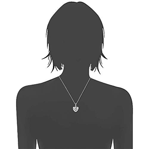 MANBU 925 Sterling Silver Cremation Jewelry for Pet Ash - Memorial Ash Pendant Urn Necklace for Dog Cat Women Remembrance Keepsake Gift for Loss of Loved Furry Friend (pet urn Locket Necklace) - Image 2