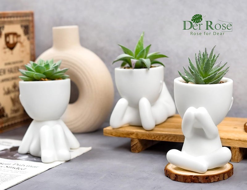 Der Rose 3 قطع نباتات صناعية مزيفة من الصبار للحمام وغرفة النوم وديكور المنزل الداخلي الجمالي - Image 4