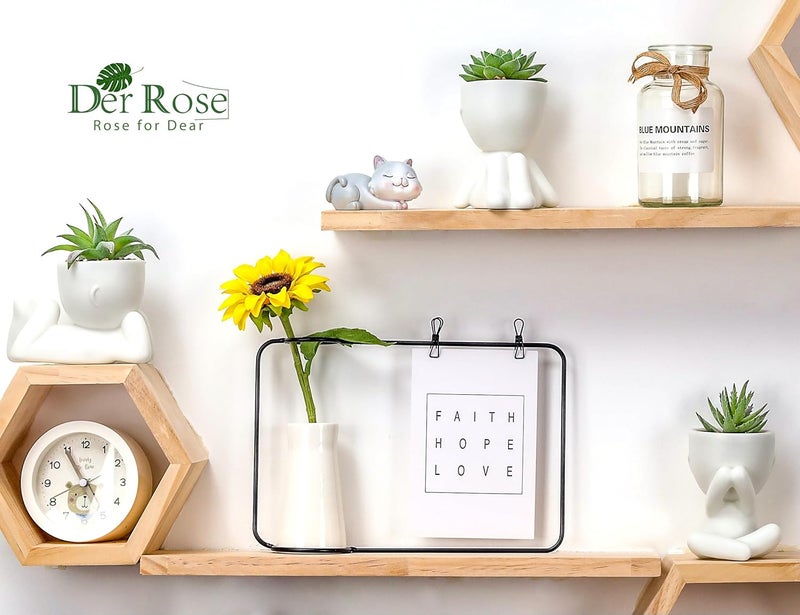 Der Rose 3 قطع نباتات صناعية مزيفة من الصبار للحمام وغرفة النوم وديكور المنزل الداخلي الجمالي - Image 5
