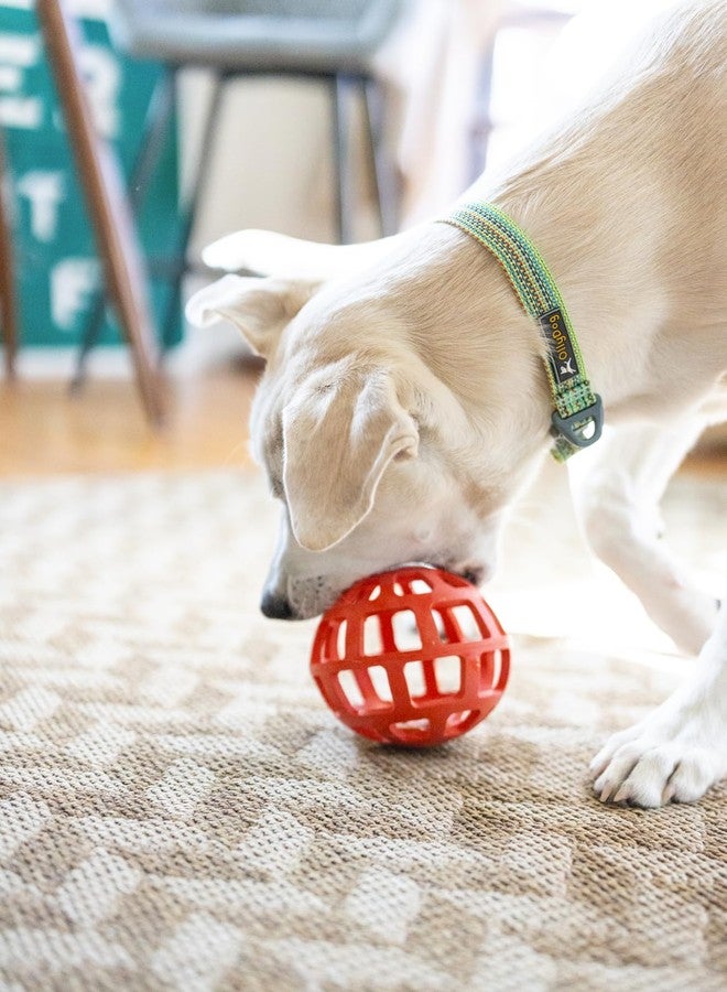 OllyDog طوق تدريب للكلاب قابل للتعديل من OllyDog Rescue مزود بإبزيم متين، خفيف الوزن، مناسب للكلاب الكبيرة والمتوسطة والصغيرة (صغير، أخضر بريزم) - Image 2