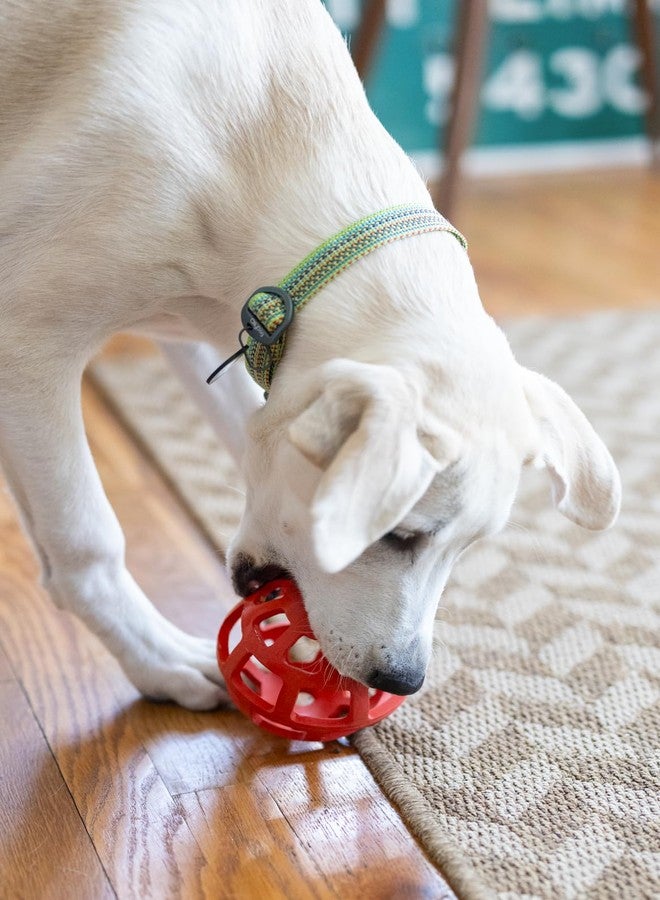 OllyDog طوق تدريب للكلاب قابل للتعديل من OllyDog Rescue مزود بإبزيم متين، خفيف الوزن، مناسب للكلاب الكبيرة والمتوسطة والصغيرة (صغير، أخضر بريزم) - Image 3