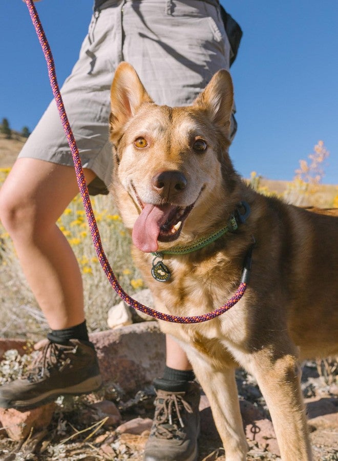 OllyDog طوق تدريب للكلاب قابل للتعديل من OllyDog Rescue مزود بإبزيم متين، خفيف الوزن، مناسب للكلاب الكبيرة والمتوسطة والصغيرة (صغير، أخضر بريزم) - Image 5