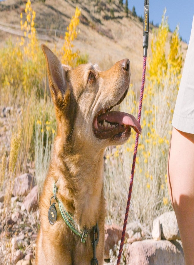 OllyDog طوق تدريب للكلاب قابل للتعديل من OllyDog Rescue مزود بإبزيم متين، خفيف الوزن، مناسب للكلاب الكبيرة والمتوسطة والصغيرة (صغير، أخضر بريزم) - Image 4