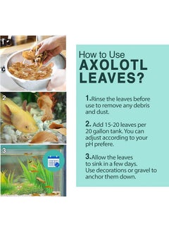 SunGrow 10 Pack Axolotl Indian Almond Leaves For Aquarium, 5Inches, Catappa Leaf Soothes Pet’S Slime Skin, Aquarium Water Conditioner Leaves Improves Tank Water Quality, Speeds Up Recovery Process  - Image 4
