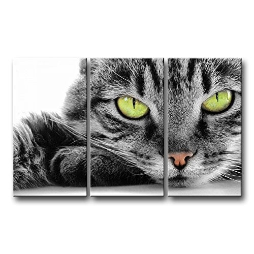 So Crazy Art Cat Wall Art Painting 3 Piece Black and White Green Eye Cat Pictures Prints On Canvas Animal The Picture Decor Oil for Home Modern Decoration Print