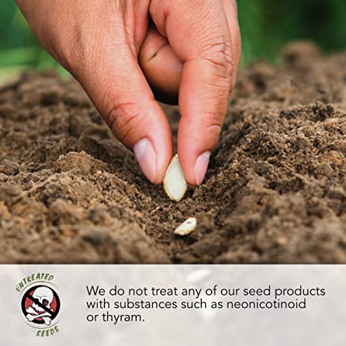 Seed Needs, Forget-Me-Not Seed Packet Collection (Includes 3,000 Forget-Me-Not Seeds for Planting) Heirloom, & Open Pollinated - Rose, Blue & White - Image 5