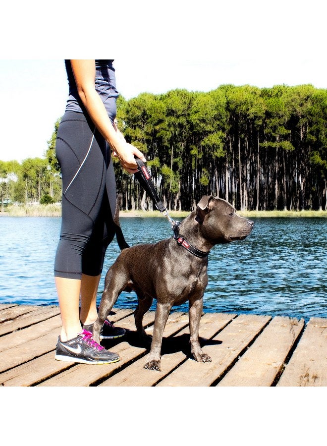 EzyDog EzyDog Neo Mongrel Short Dog Leash for Large Dogs - Reflective Stitching for Nighttime Safety with a Heavy Duty Snap Hook for Comfort and Control - Add an Extension for a Full Size Leash (Red) - Image 3