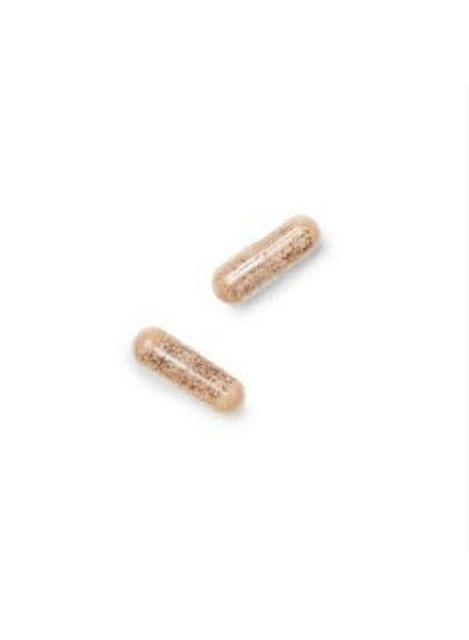 GNC Gentlesorb Iron 18mg Supplement, Supports Healthy Red Blood Cell Formation, 90 Servings - Image 4