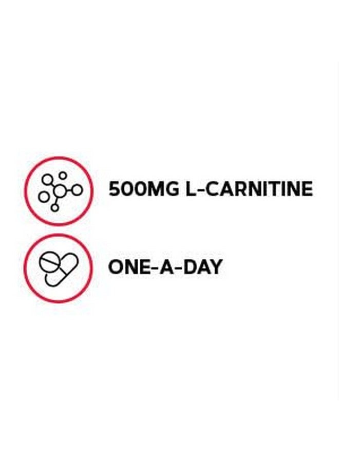 GNC Gentlesorb Iron 18mg Supplement, Supports Healthy Red Blood Cell Formation, 90 Servings - Image 3