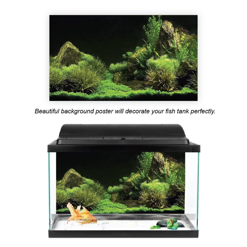 VVWV ® Green Plant Aquarium Background Stickers for Fish Tank Vinyl Printed Multicolored Sticker (61 X 41 CMS) - Image 4