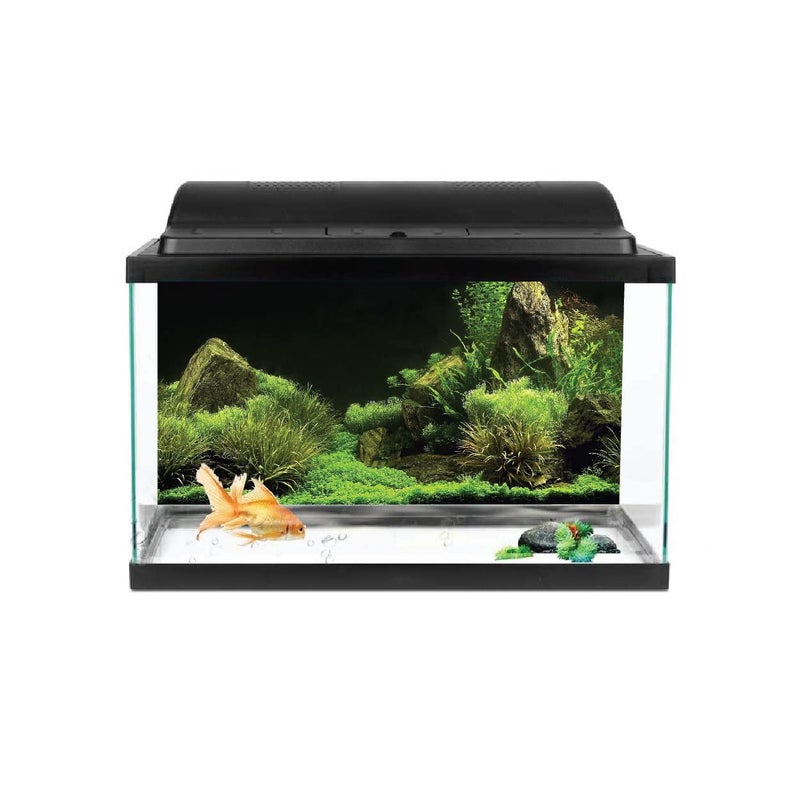 VVWV ® Green Plant Aquarium Background Stickers for Fish Tank Vinyl Printed Multicolored Sticker (61 X 41 CMS) - Image 1
