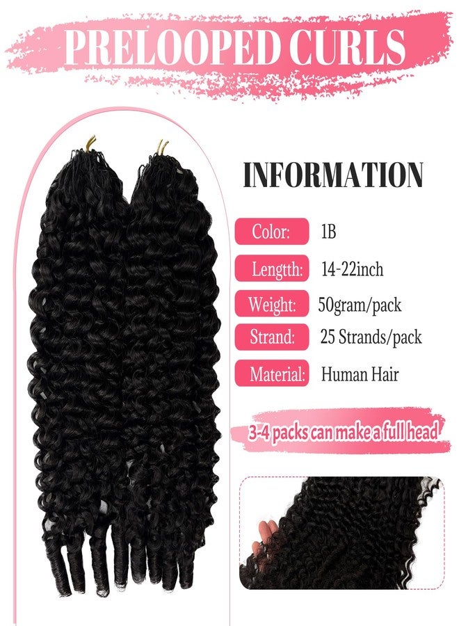 Smartinnov Crochet Human Hair for Women Jerry Curly Human Crochet Hair Pre Looped Color 1B# Feather Crochet Hair Extension Invisible Deep Wave 60g 50 Strands 14 Inch Natural Black - Image 5