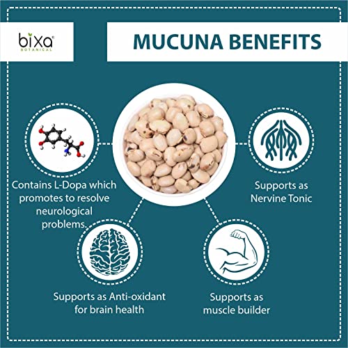 bixa BOTANICAL Mucuna Pruriens Powder | Velvet Bean Powder | Kapikacchu | Kaunch Beej | Ayurvedic Herbal Supplement ǀ Energy Booster | 1 Pound / 16 OZ | Gluten Free, Non-GMO, Steam Treated, Vegan, - Image 2