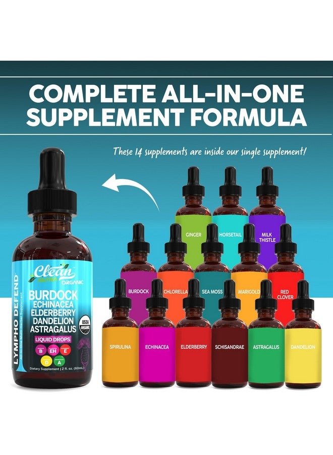 Clean Nutraceuticals Organic Lymphatic Drainage Supplement | Lymphatic Support Drops | Burdock Root Echinacea Elderberry Dandelion Astragalus Milk Thistle Sea Moss Red Clover Cleanse Marigold Drop by Clean Nutra - Image 2