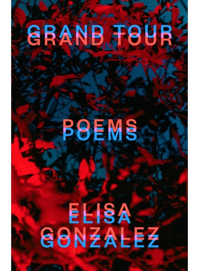 Grand Tour : Poems 