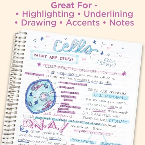 Zebra Pen Mildliner Dual-Tip Highlighters, Broad and Fine Tips, Ideal for Bible Highlighting, No Bleed, School Supplies and Teacher Supplies, Assorted Ink in Easel Back Carrying Case, 25-Pack (78025) - Image 5