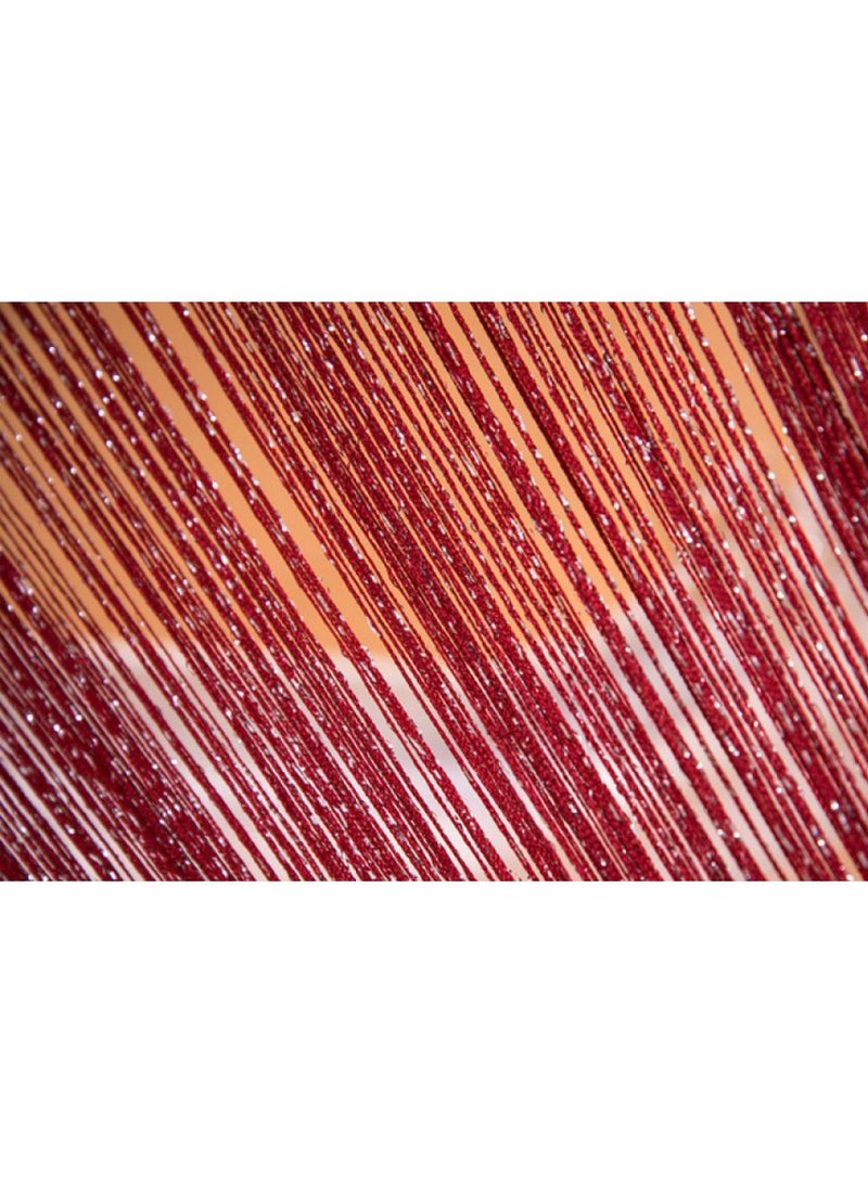 Y&D Shiny Tassel String Doorway Curtain 300x280 cm  - Image 3