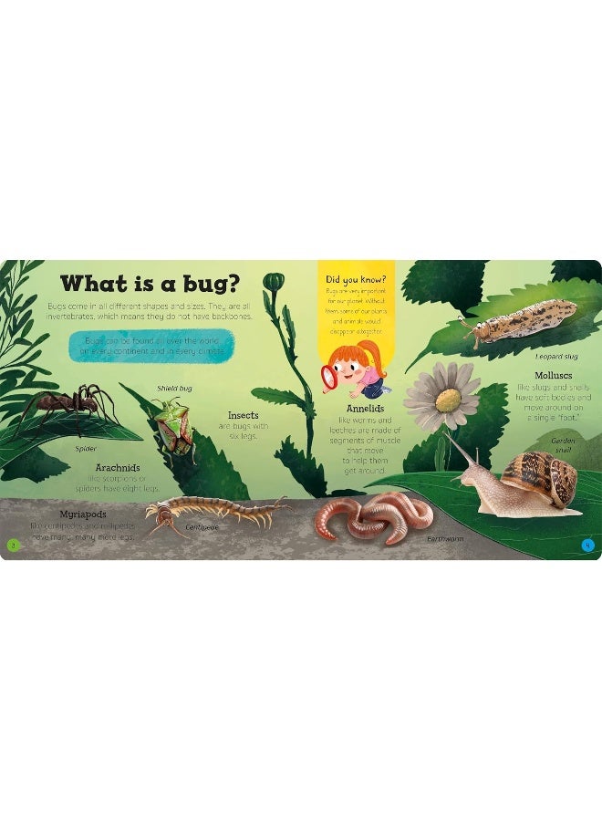 Priddy Explorers Bugs & Slugs - Image 2