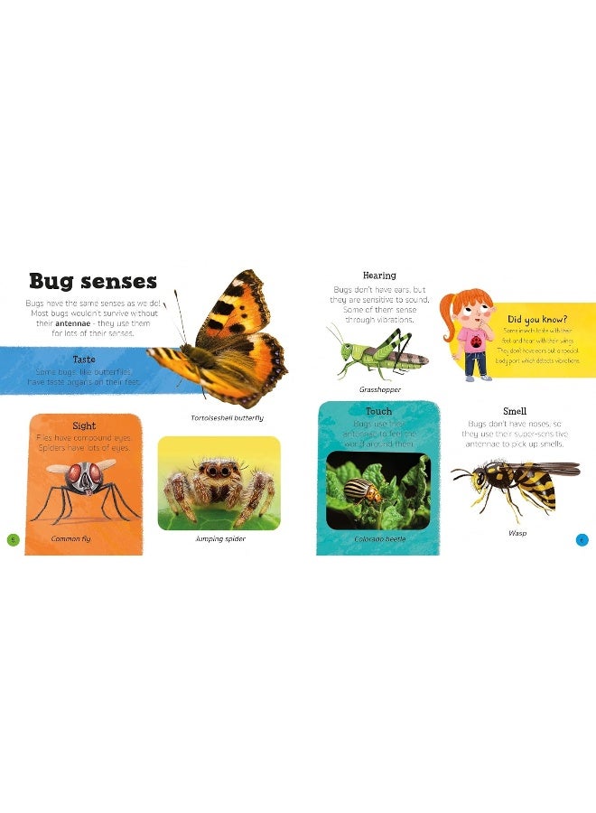 Priddy Explorers Bugs & Slugs - Image 3