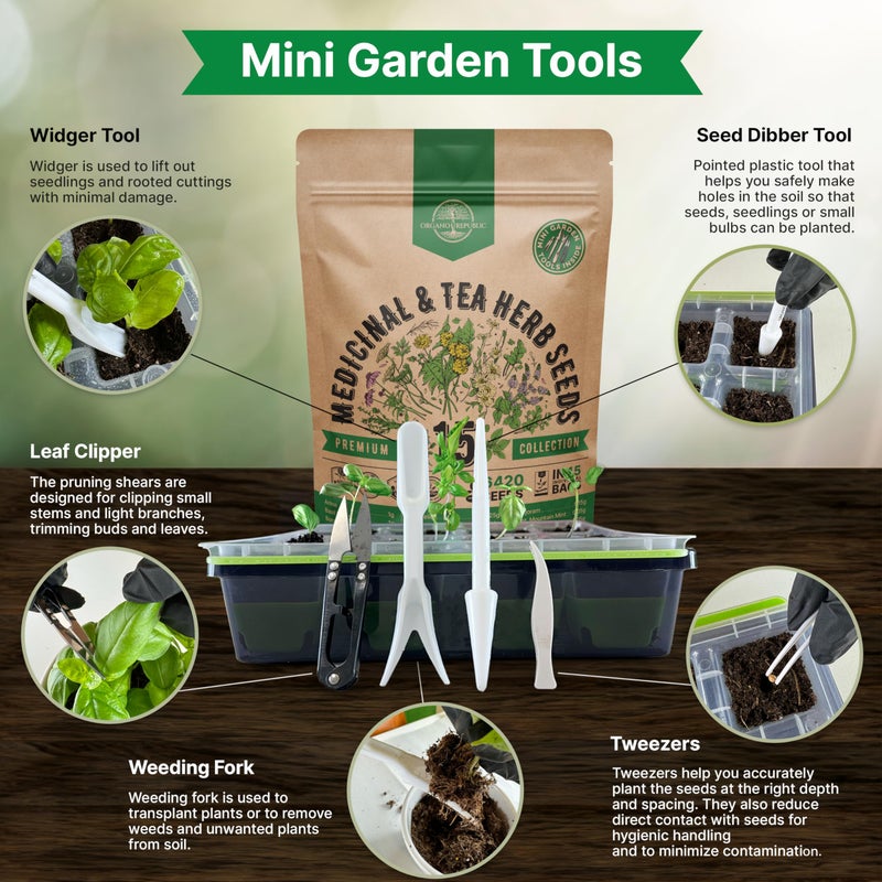 Organo Republic 15 Medicinal & Tea Herb Seeds Variety Pack 6,420+ Non-GMO Heirloom Garden Seeds for Indoor & Outdoors, Including Anise, Borage, Cilantro, Chamomile, Dandelion, Rosemary Seeds - Image 4