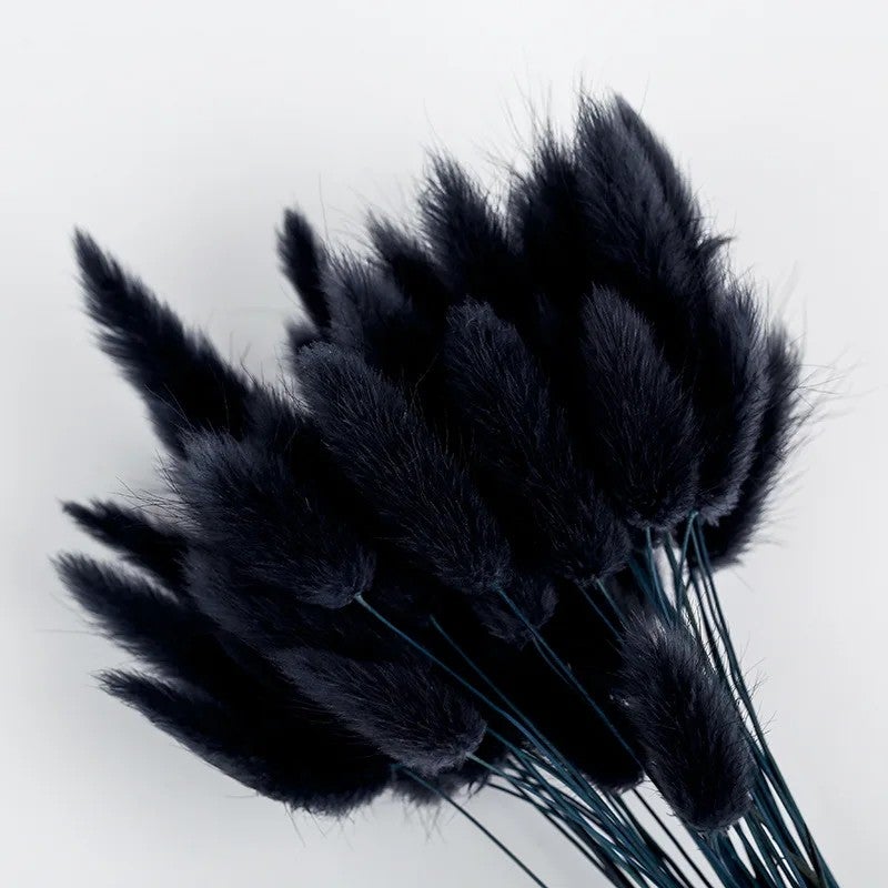Bluejw Colorful Dried Bunny Tails Grass Pampas Plumes - Natural B-2619 Lagurus Ovatus, Dried Plants for Home Decor, Floral Arrangements - Image 1