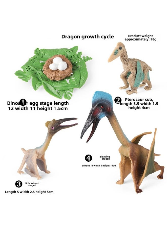 Miniature Realistic Animal Models Growth Cycle Toys Including erfly Rooster Ant Frog Turtle Mosquito Educational Playsets-Color:2456 Hartz Gray Dragon Growth Cycle 4 Sets - Image 1