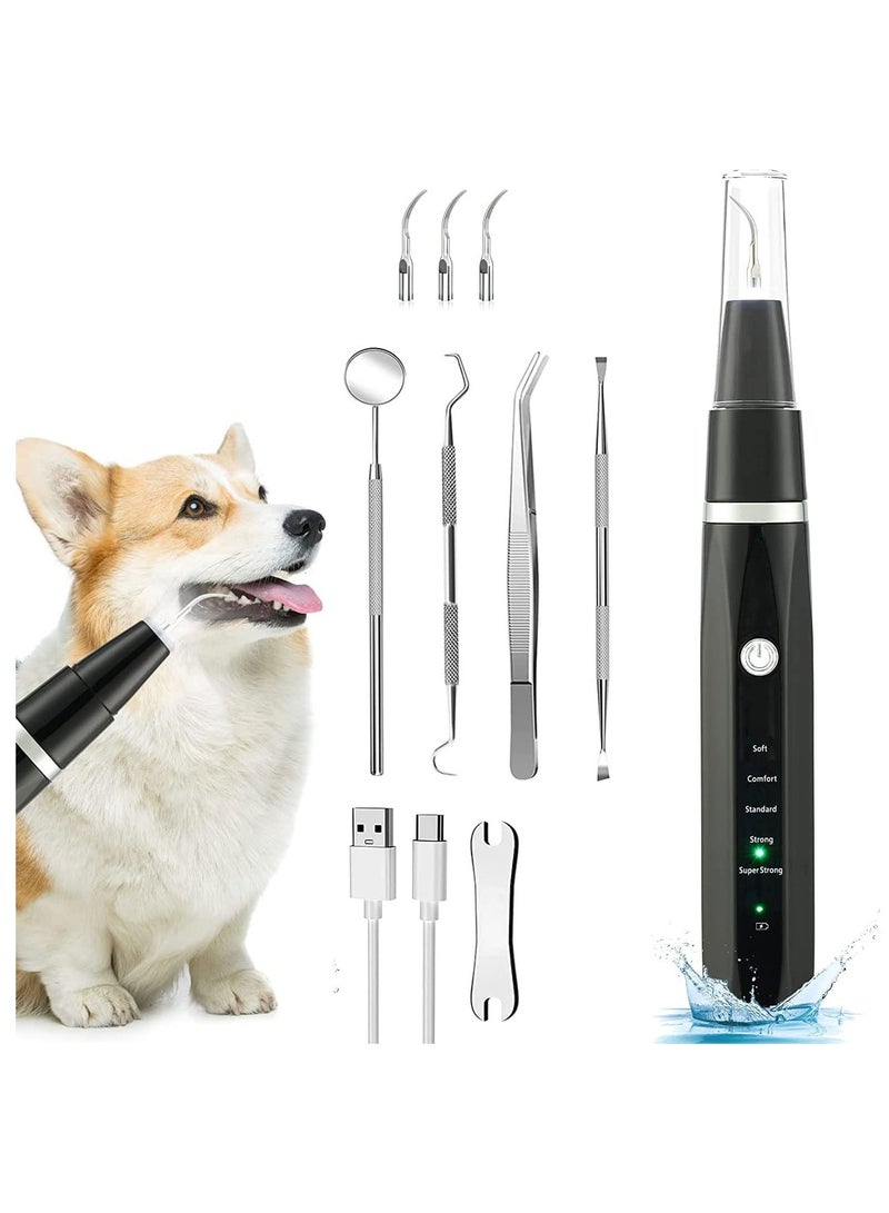Electric Tooth Polisher with LED Lamp Ultrasonic Cleaner Toothbrush 5 Modes Teeth Cleaning Kit Tartar Remover Stains - Image 1