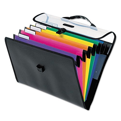 Pendaflex Hanging Organizer, All-in-1 Wall Organizer/Pocket Chart, Black with Bright Color Folders, Poly Carry Case, Letter Size (52891), Black/Assorted - Image 1