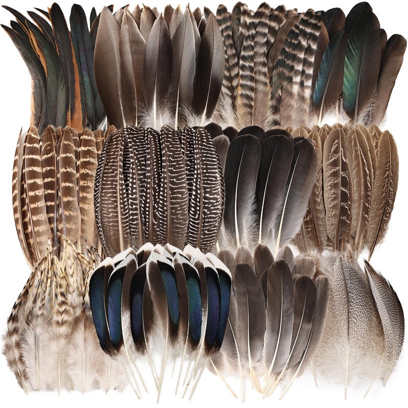 whitefeather Natural Feathers Bulk - 150PCS - 12 Styles Assorted Natural Feathers, Pheasant Feathers, Turkey Feathers for DIY Crafts, Wedding, Crafting Supplies - Image 1