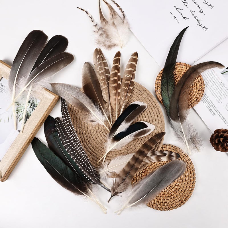 whitefeather Natural Feathers Bulk - 150PCS - 12 Styles Assorted Natural Feathers, Pheasant Feathers, Turkey Feathers for DIY Crafts, Wedding, Crafting Supplies - Image 2