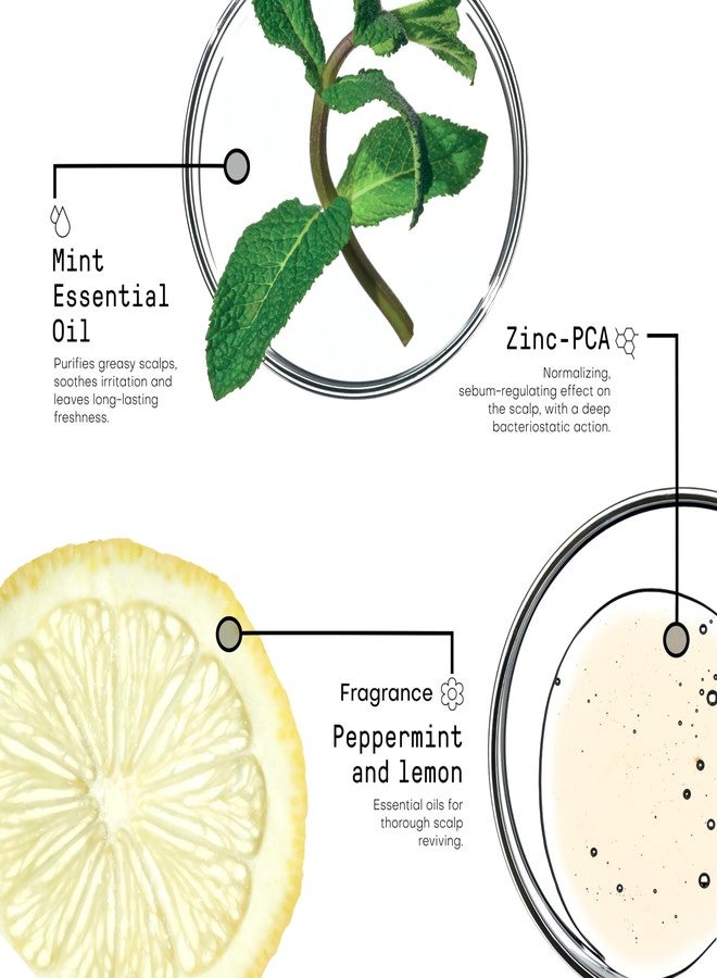 framesi شامبو فريمسي مرفوسيس بالانس 33.8 أونصة سائلة - Image 3