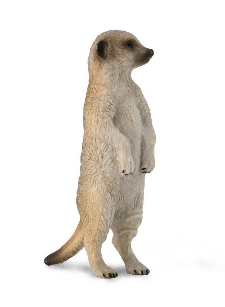 Collecta - Meerkat Standing - 88913