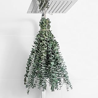 FAVOWREATH FAVOWREATH 10 Pcs Dried Eucalyptus Stems 17" Real Eucalyptus 100% Made from Fresh Eucalyptus Leaves Artificial  - Image 1