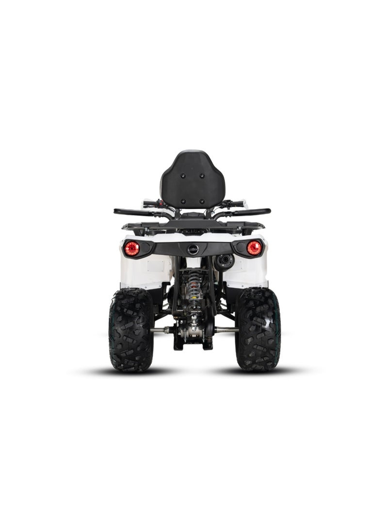 SHARMAX HAMMER 320RX - Image 4