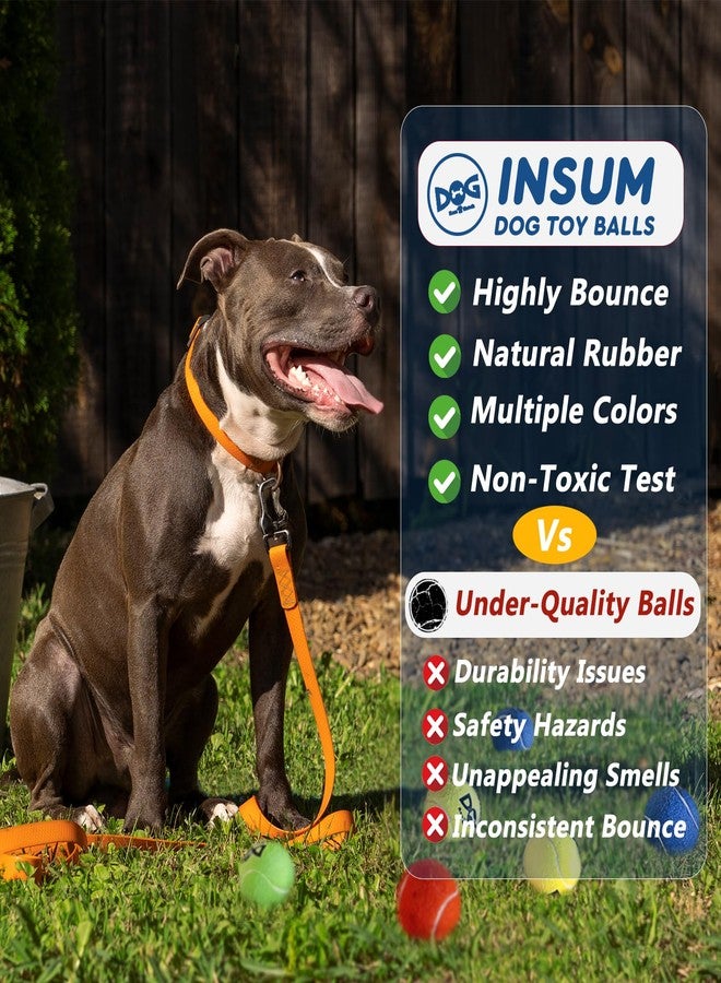 INSUM Tennis Balls for Dogs - 12 Pack 2.5'' Durable Non-Toxic Outdoor Dog Toys Balls with Mesh Bag, SGS Certified, Colorful Fetch Toys, Medium Large Breeds (Non Squeaky) - Image 5