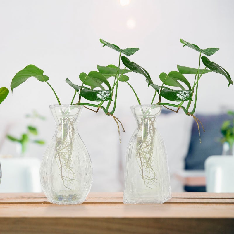 🌱 مزهرية زجاجية أنيقة لتزيين المنزل غرفة المعيشة والمكتب - Image 4