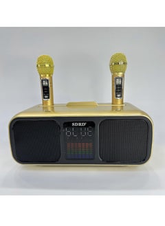 SDRD Karaoke Machine for Adults & Kids, Rechargeabl Portable Speaker with 2 UHF Wireless Microphones,Supports AUX/USB/Type C/TF Card/Bluetooth,PA System for Home, Party, Outdoors&Indoors Activities gold  - Image 2