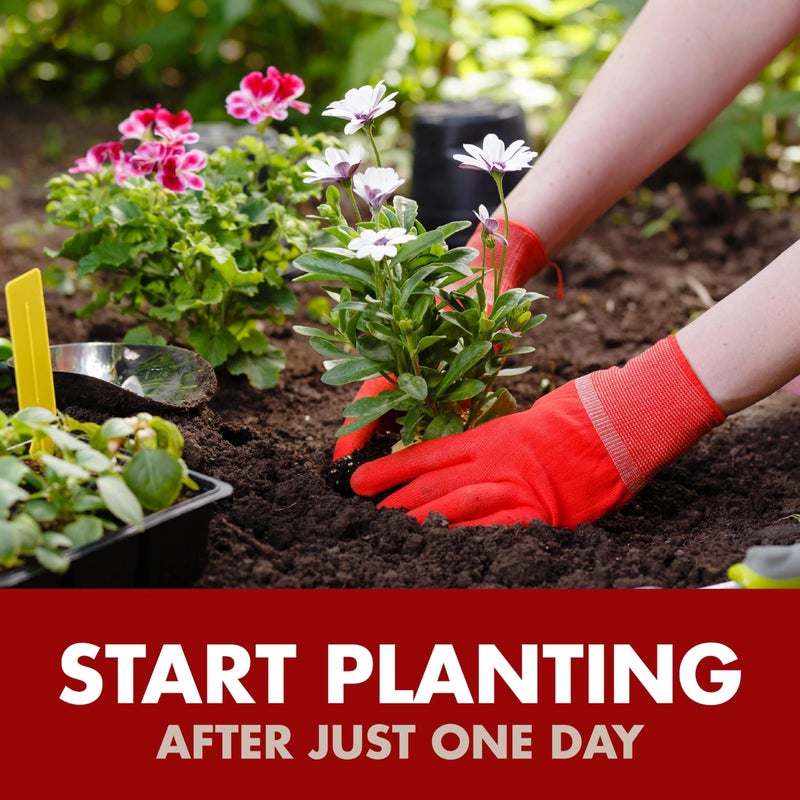 Spectracide سبكتراسايد قاتل الأعشاب والجراثيم المركز، يستخدم على الممرات، والممرات، وحول الأشجار وأسرّة الزهور، 64 أونصة سائلة - Image 5