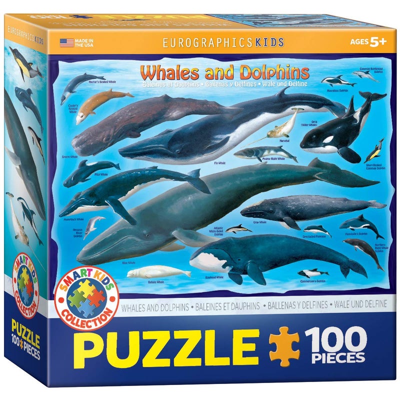 eurographics Whales & Dolphins 100 Piece Jigsaw Puzzle - Image 4