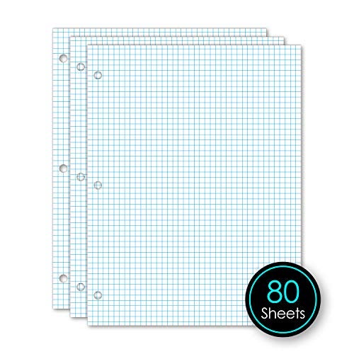 iScholar Quad Filler Paper, 5 Squares per Inch, 10.5 x 8 Inches, 80 Sheets (24880),White - Image 3