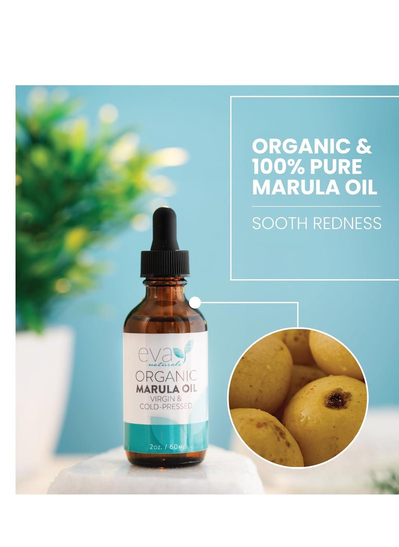 Eva Naturals Organic Marula Oil for Face and Hair, 100% Virgin Moisturizing Beauty Oil - Cold Pressed, Natural Anti-Aging Formula - Non-greasy, Unrefined, Rich in Omegas & Antioxidants - 2oz.  - Image 3