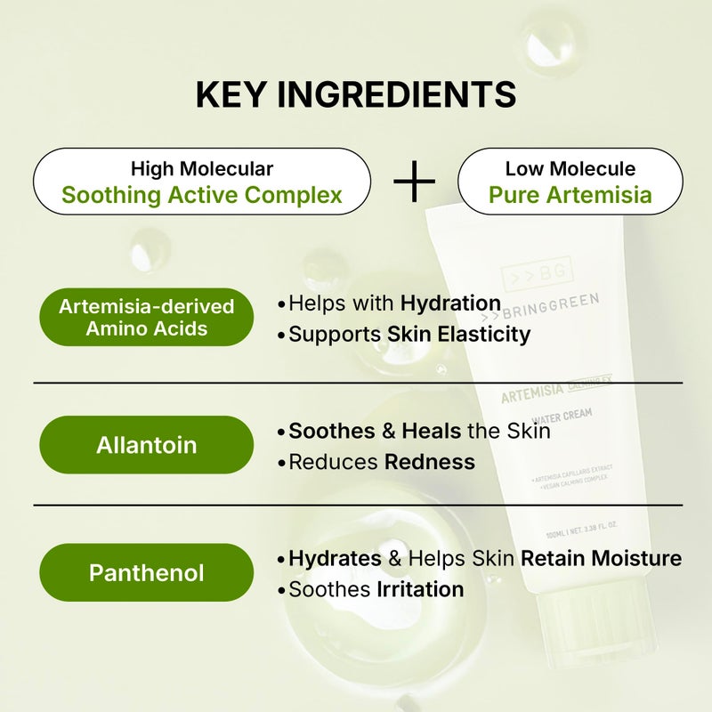 BRING GREEN Artemisia Calming EX Water Cream 100mL - Image 4