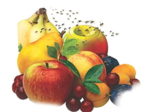 TERRO 2-Pack Fruit Fly Trap - Image 2