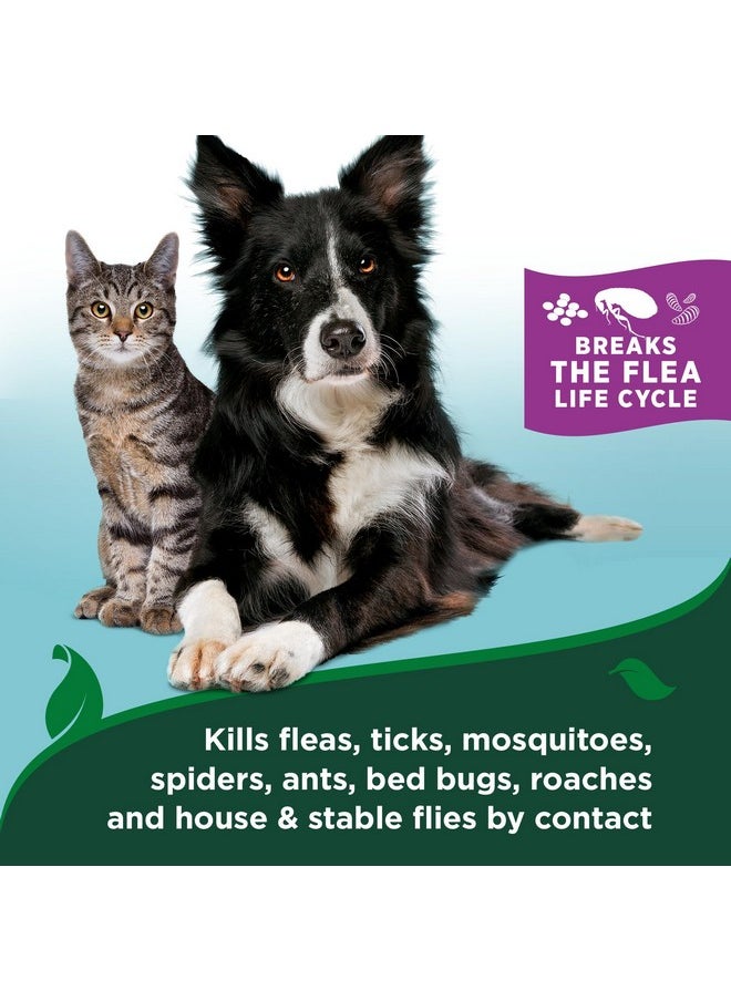 Vet's Best Vet’s Best Flea & Tick Waterless Bath for Cats - Cat Waterless Bath - Kills Fleas & Tick - Natural Flea and Tick Prevention - Kills Fleas on Contact - 8oz  - Image 5