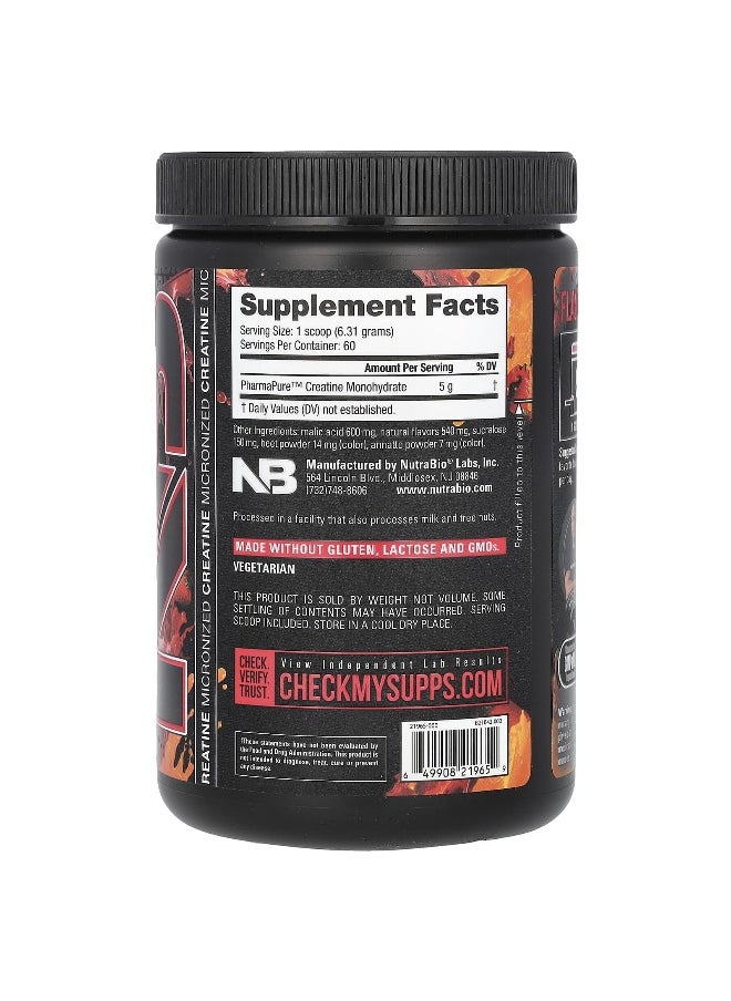 NutraBio - NutraBio, Micronized Creatine Burst, Island Splash Fruit Punch, 0.83 lb (379 g) - Image 1